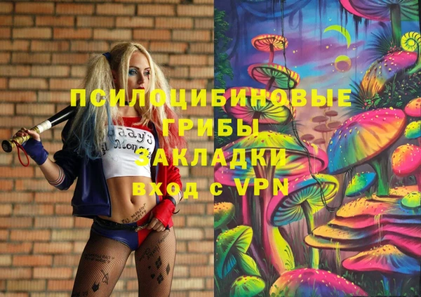 сатива Армянск