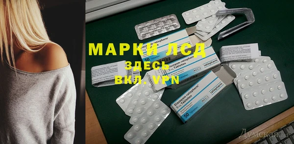сатива Армянск