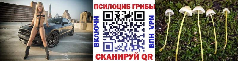 Псилоцибиновые грибы мухоморы Клин