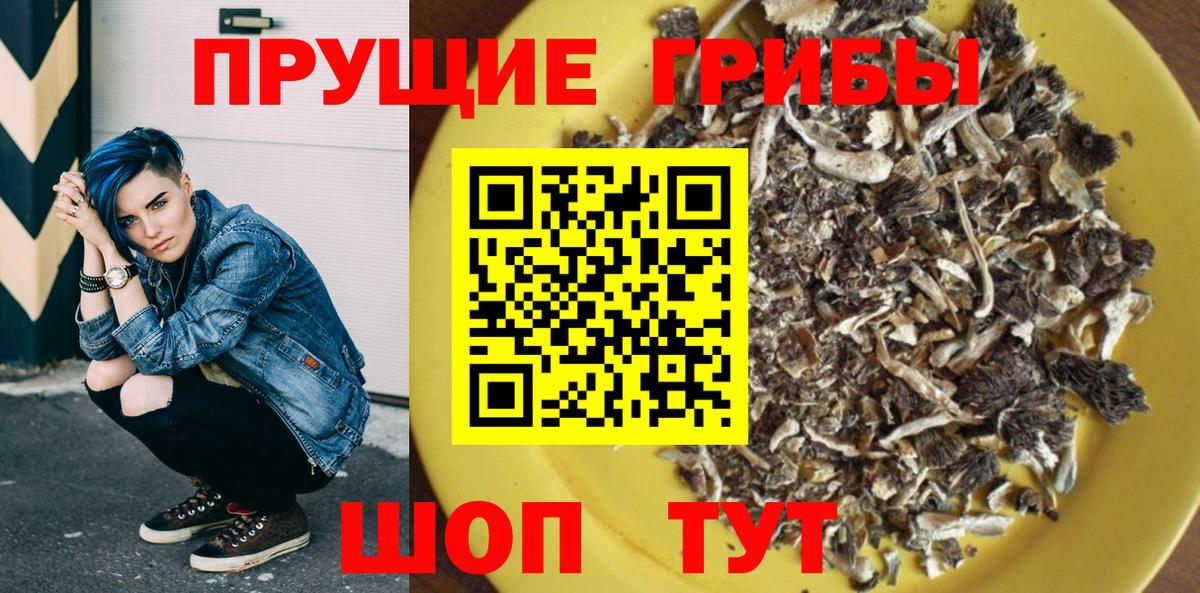 Клин  купить наркотики сайты  Псилоцибиновые грибы прущие грибы  Вход с VPN  Псилоцибиновые грибы прущие грибы 