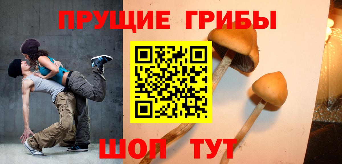 Галлюциногенные грибы Psilocybine cubensis Клин